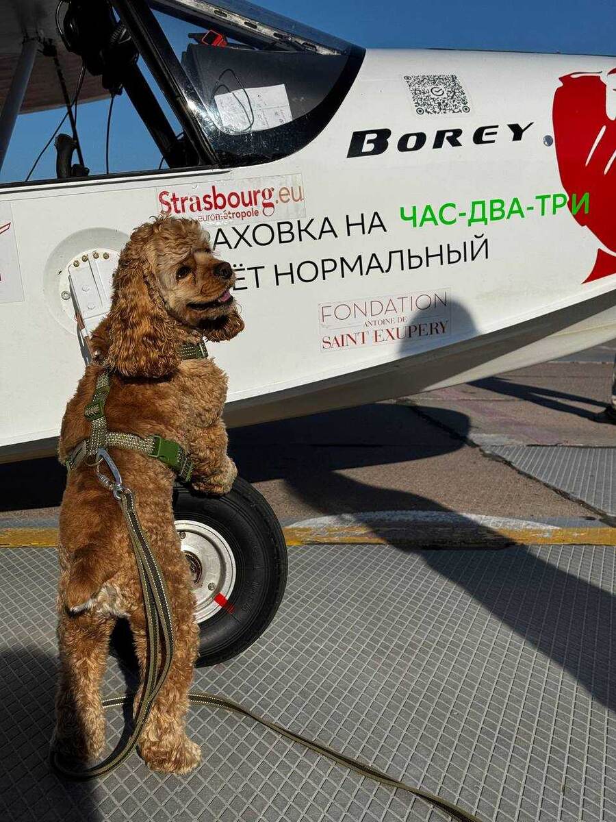    Фото: Telegram-канал Borey Aircraft