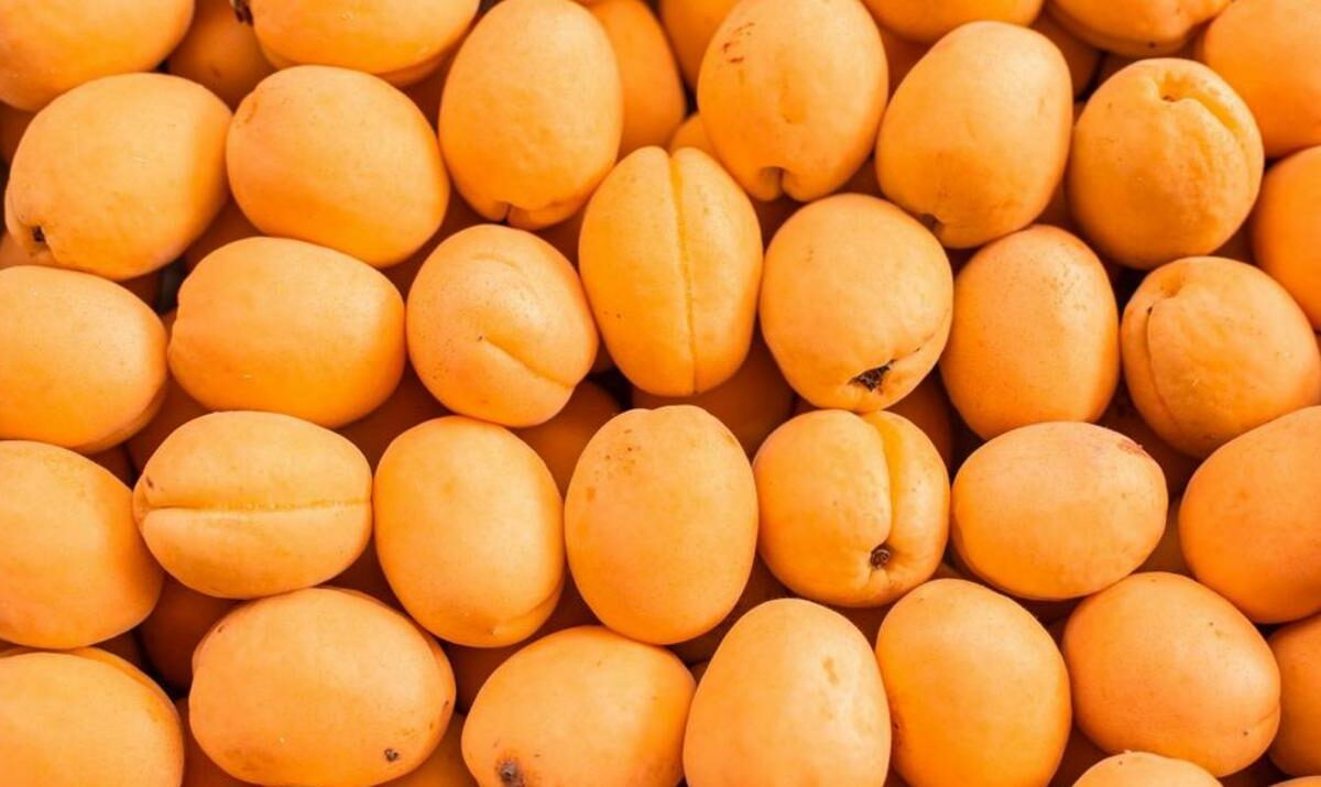    Фото t.me/rsn_yug