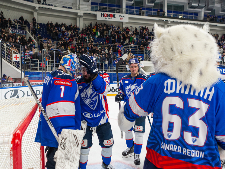     Фото: Андрей Холмов/ХК "Лада"