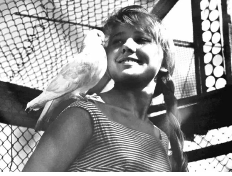 "Прощайте, голуби"