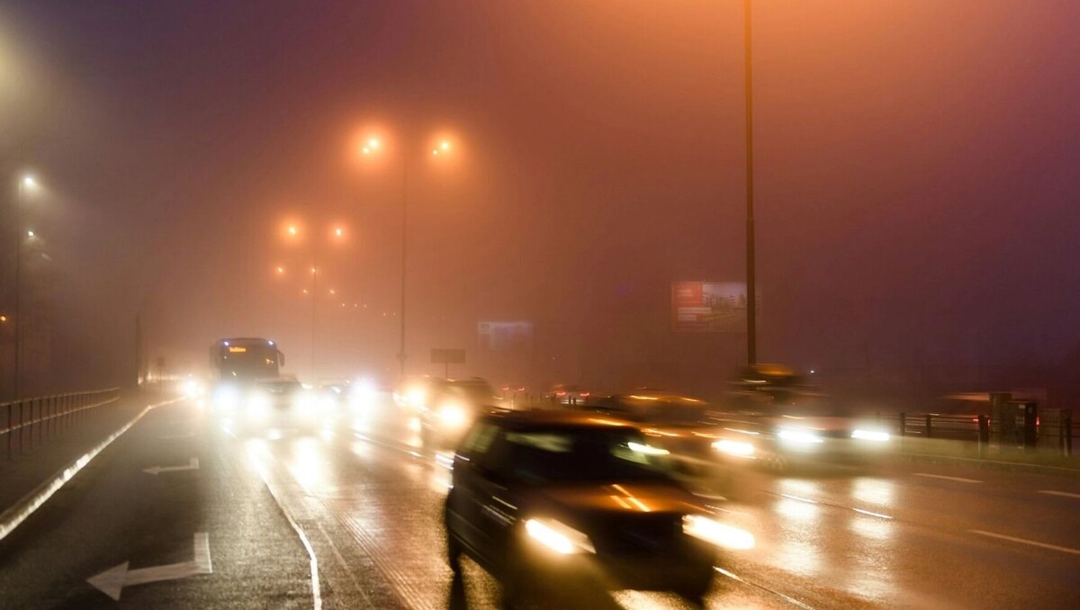     Автор: Unsplash