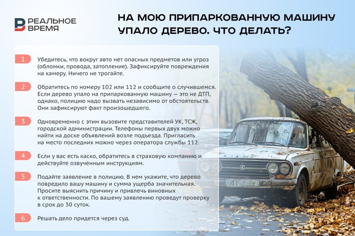   Реальное время / realnoevremya.ru
