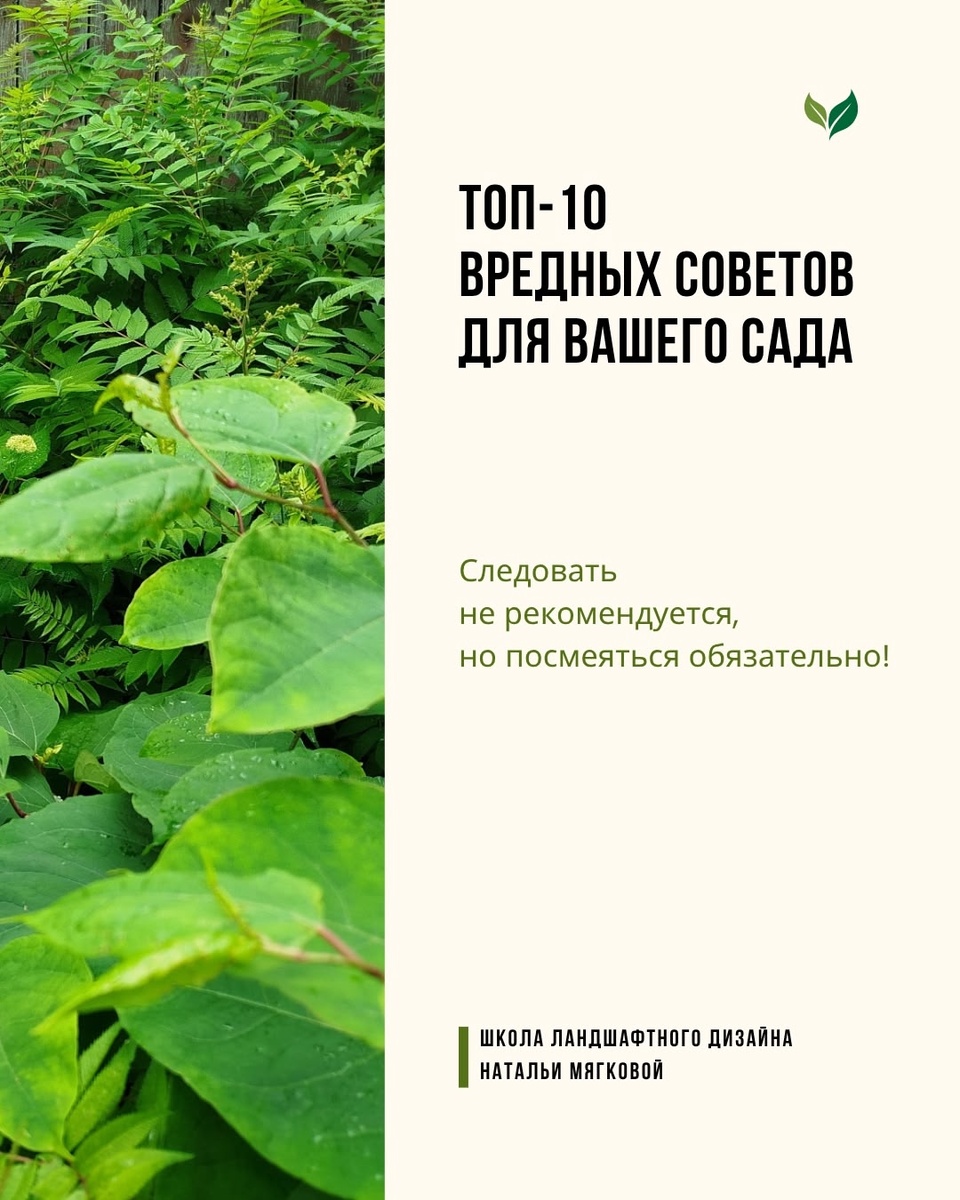 Листайте галерею по стрелке вправо 