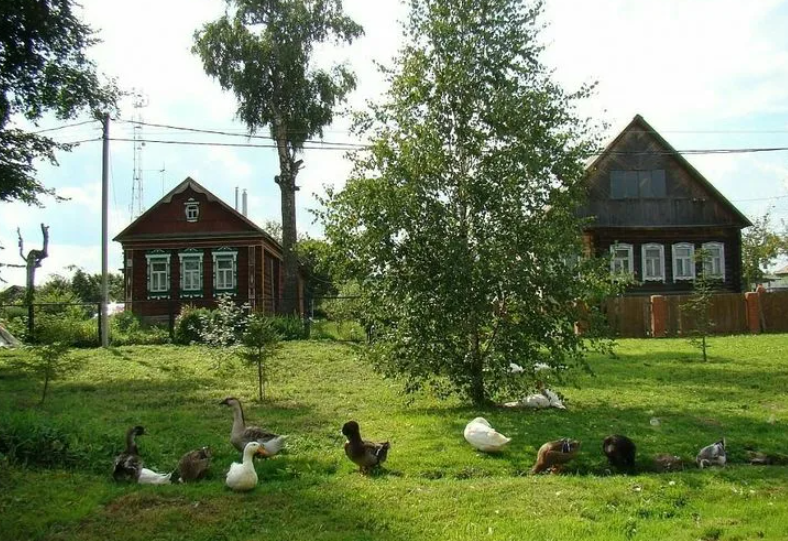 Яндекс картинки