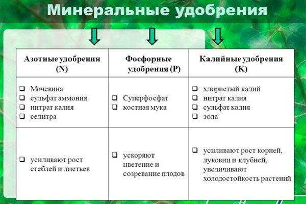Удобрение яблони: полный календарь подкормок от посадки до старости по сезонам