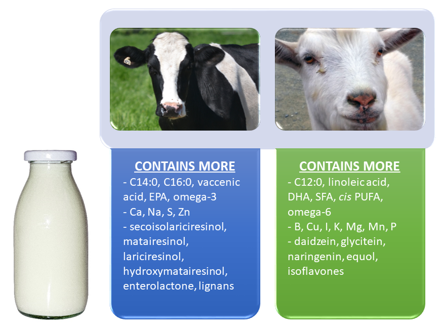 Сравнительный анализ состава козьего и коровьего молока