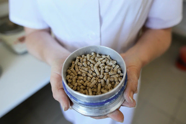 Фото: АГРОЭКО