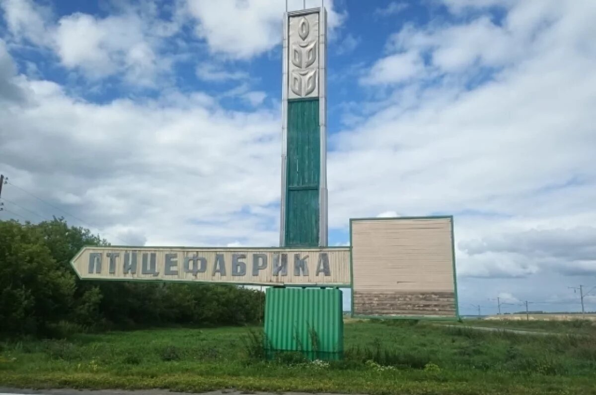    Жителям края бесплатно раздают кур-несушек с закрывающейся птицефабрики