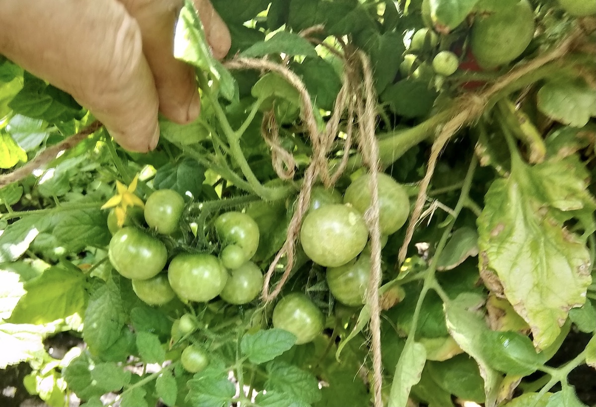 Вот так нарастают.