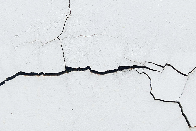    Shutterstock/FOTODOM