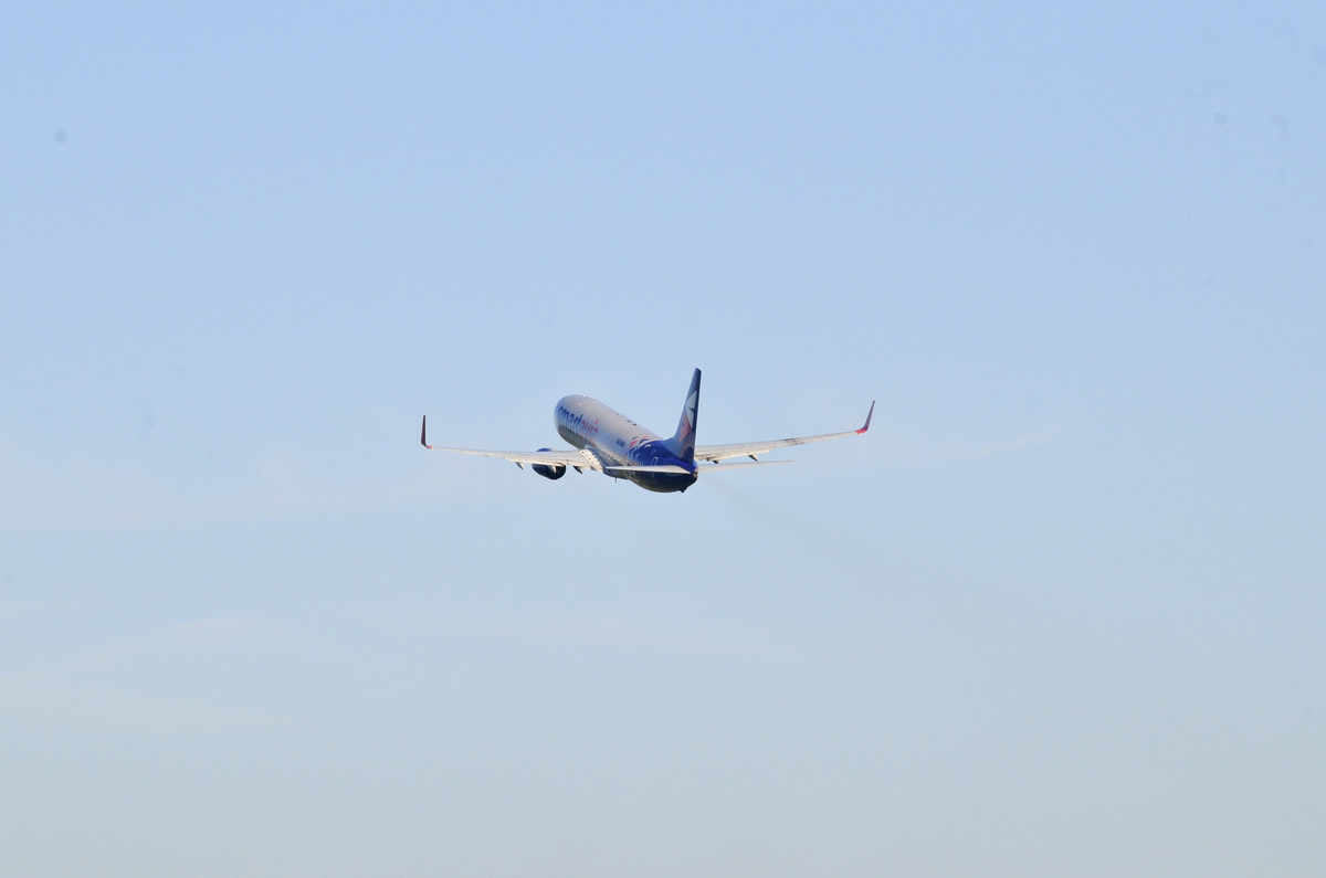 Самолет запросил аварийную посадку.  Фото: ФедералПресс / Дмитрий Шевалдин