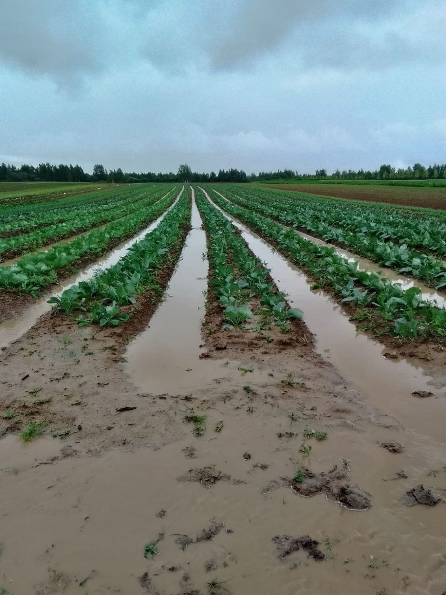 Обильные остадки в Тверской области