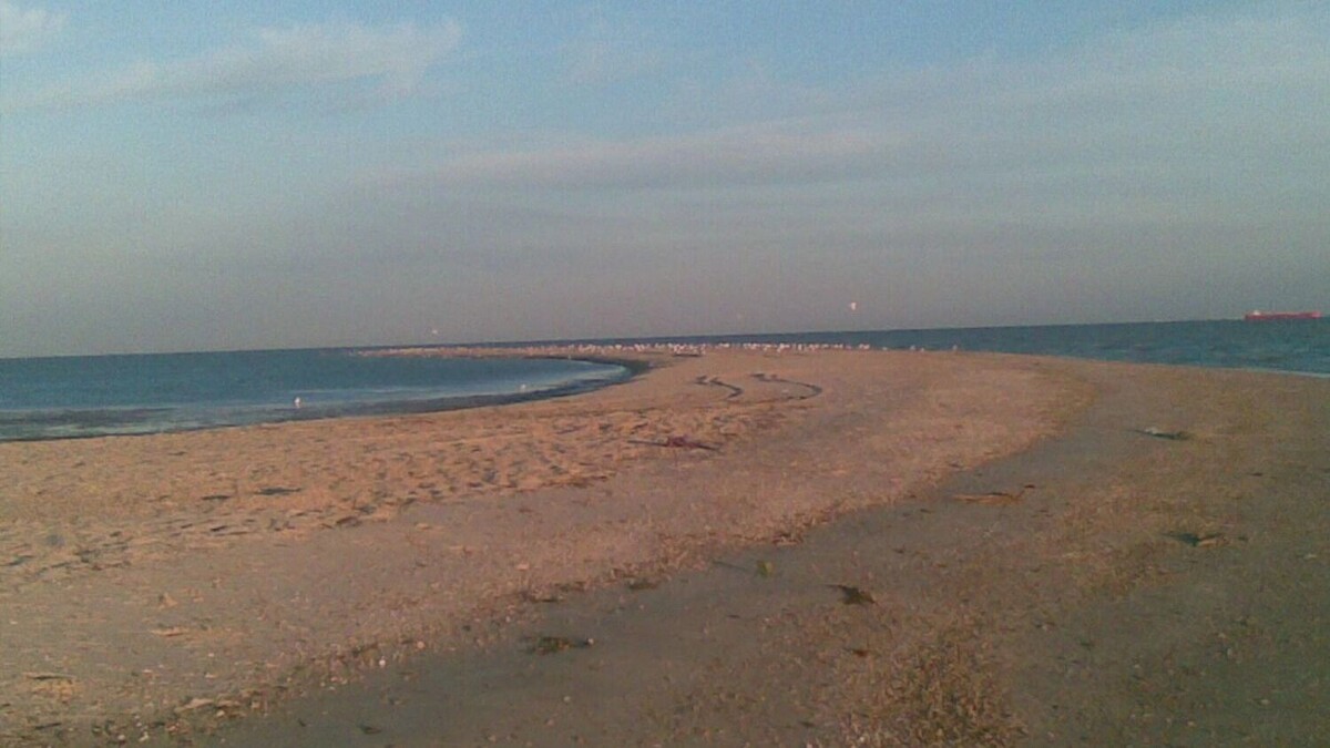     Автор: Залесский В.В./cc by 3.0/wiki