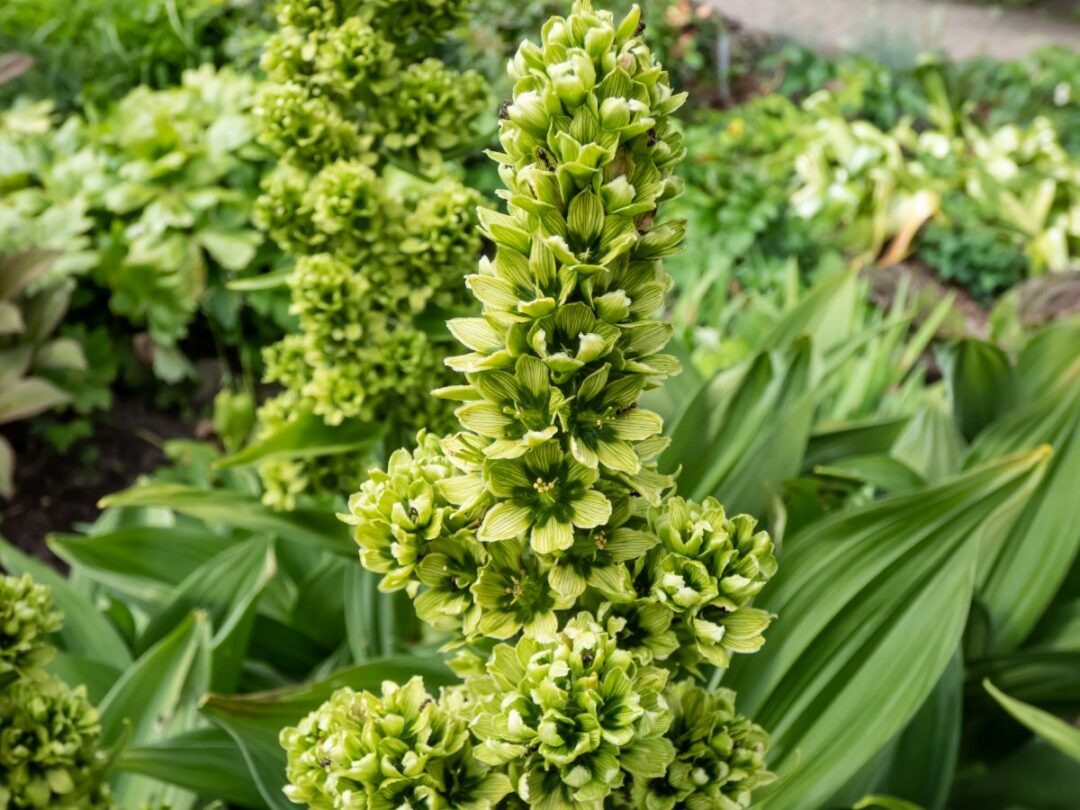 Фото: Kristine Radkovska / GettyImages