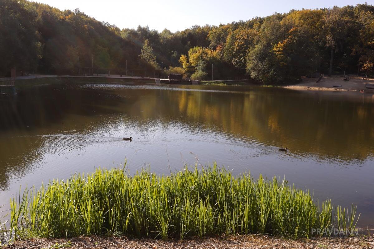    Роспотребнадзор еженедельно проводит исследования воды и песка в городских зонах отдыха