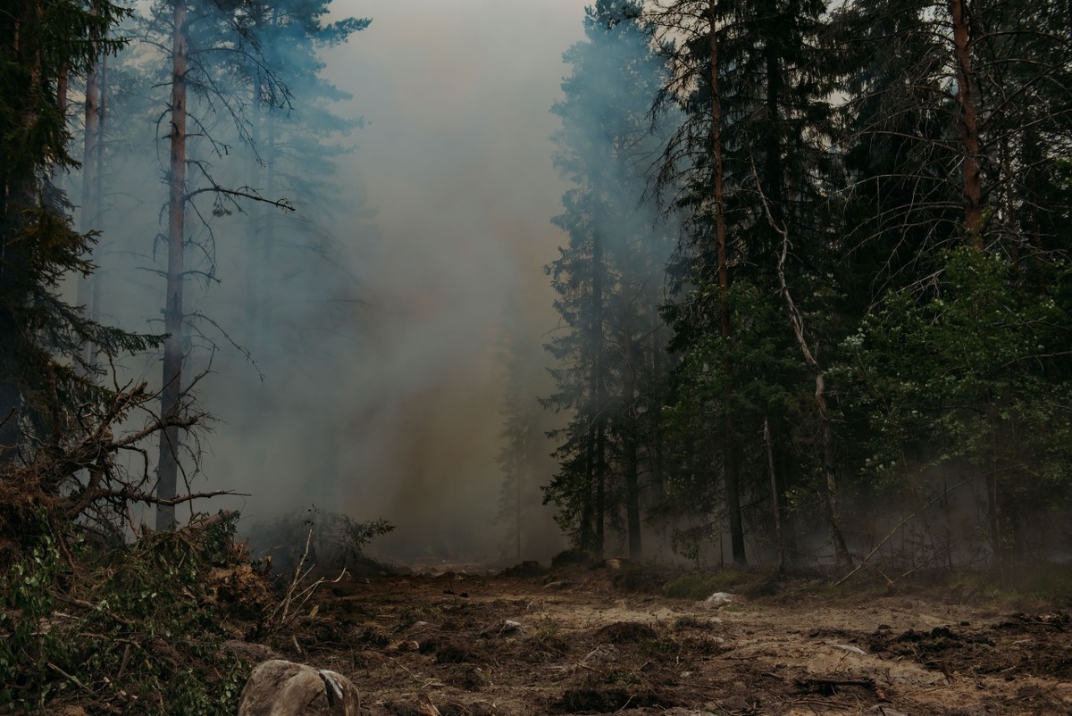    Лесной пожар под Кудамой. Фото: "Республика"/Лилия Кончакова