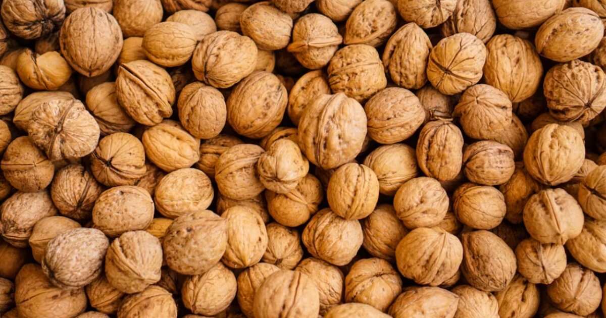 Фото: Tom Hermans / unsplash