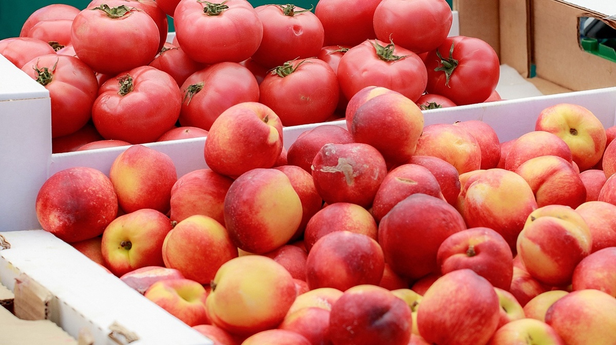     Фото: Алексей Куликов