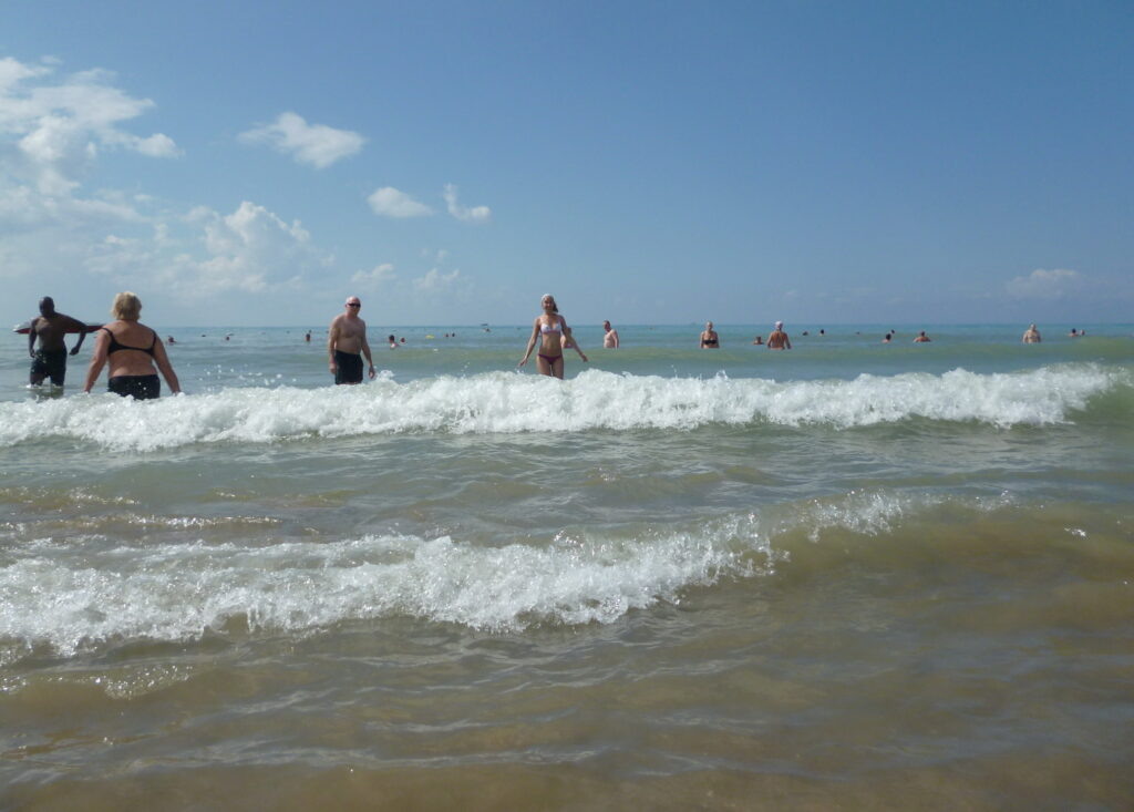    Анастасия Петрова