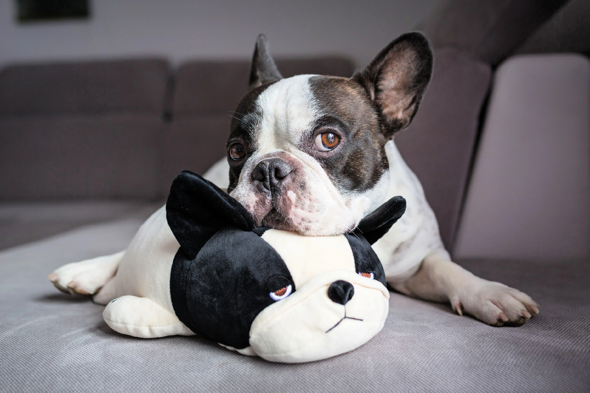 Какие они прекрасные