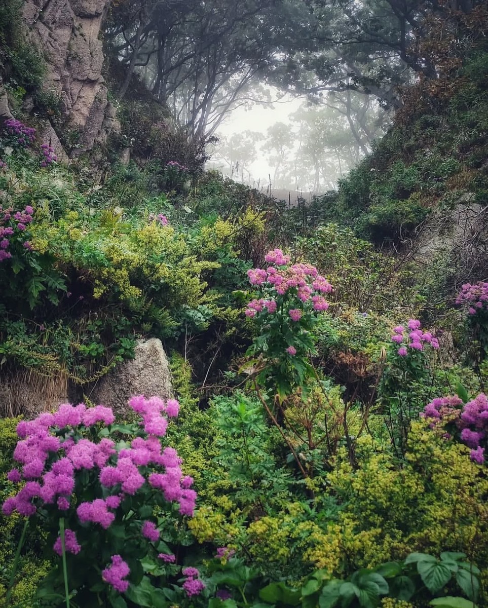 Приморский край, Лазовский район, бухта Тачингоуза (Просёлочная)