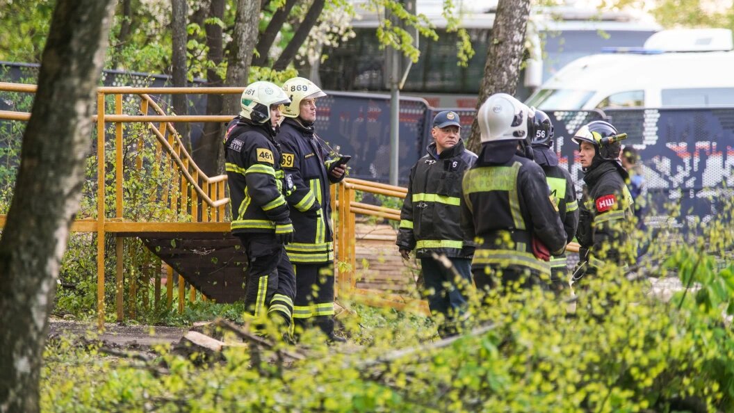    фото: Vyacheslav Nemyshev/URA.RU/Globallookpress