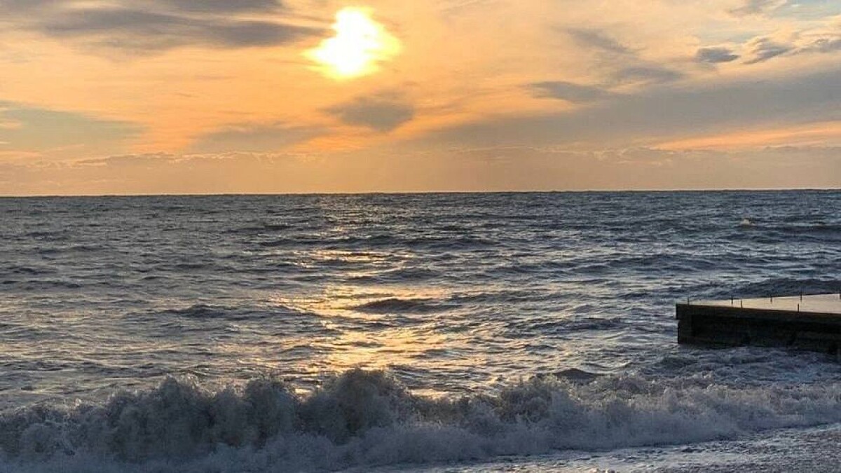    Фото: телеканал «Краснодар»