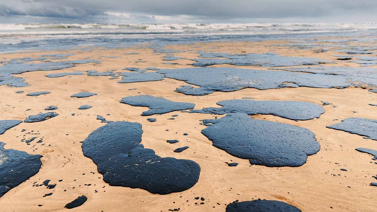     Фото: Wonderful Nature/Shutterstock/FOTODOM