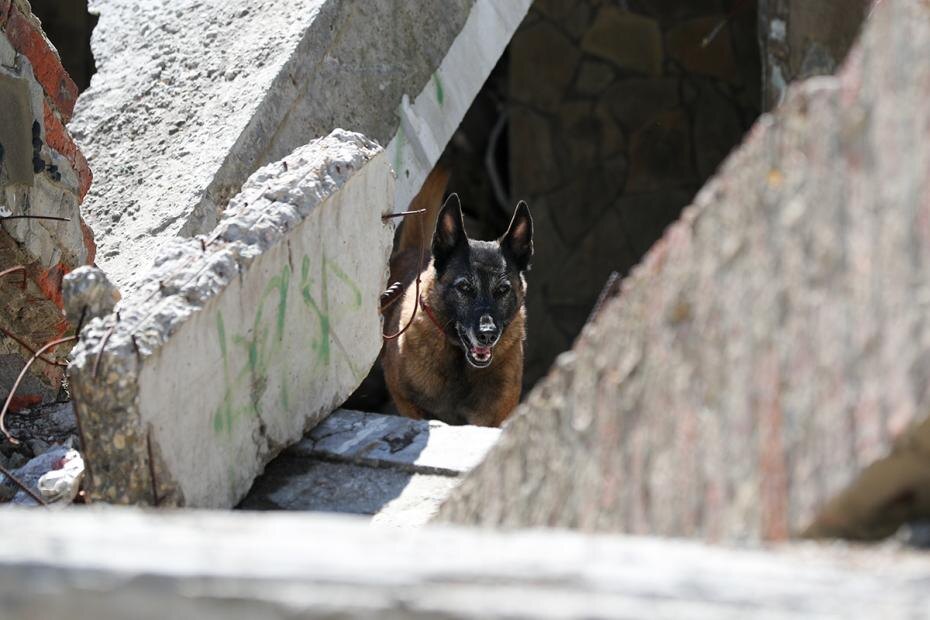    Сергей Булкин/NEWS.ru