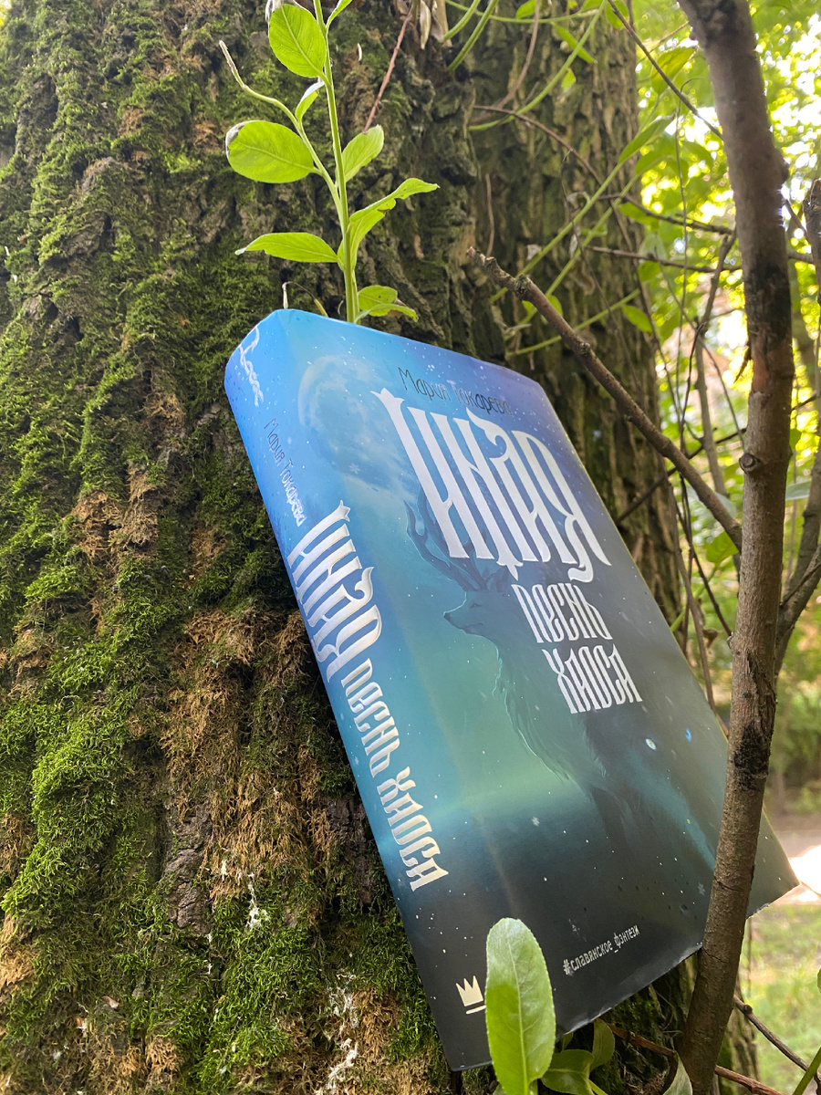 Под красивой обложкой — не менее красивый текст.