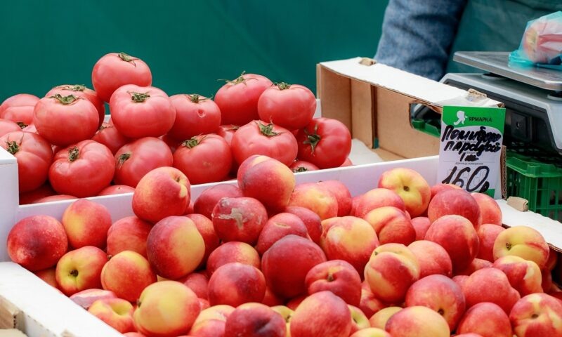    Фото пресс-службы администрации Краснодара