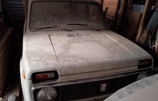    Фото: Сайт Авито Ульяна Бажанова