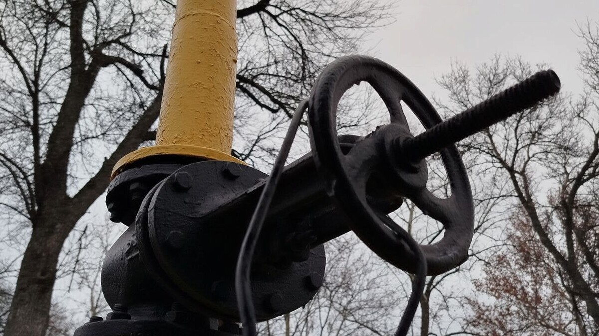    Фото: телеканал «Краснодар»