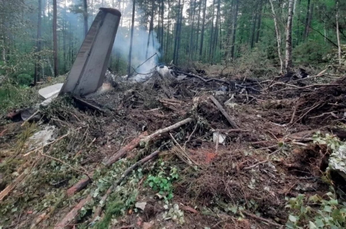    Самолёт Ан-24 рухнул в тайге в 15 километрах от Тынды.