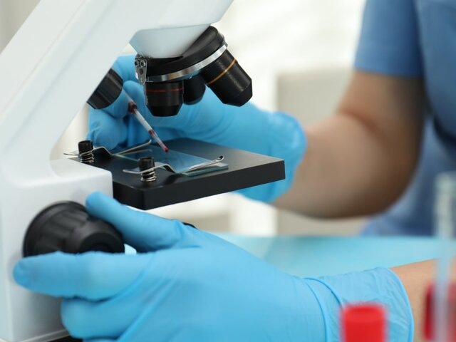    Фото: 123RF/liudmilachernetska