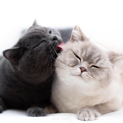 📝 Чаще всего отношения рушатся не из за глобальной несовместимости. Категоричная несовместимость встречается редко и чаще всего можно договориться.