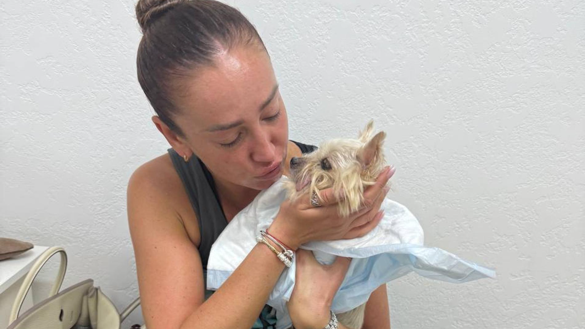 Источник: Яндекс