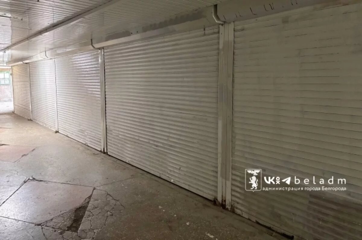    Более 100 млн руб требуется на ремонт двух подземных переходов в Белгороде