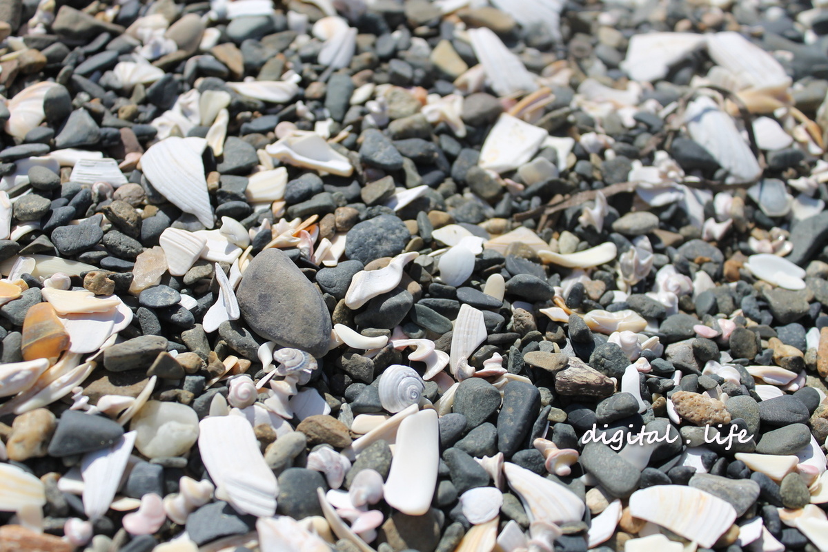 Я за кадром. Фото автора.