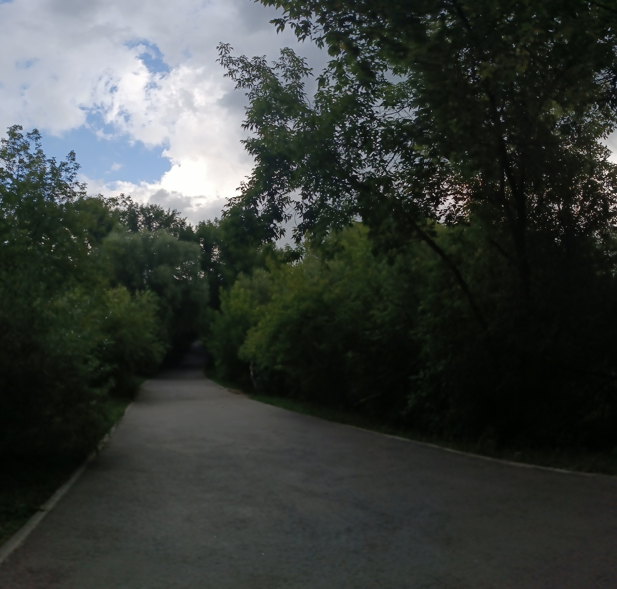 Где-то на просторах парка города. Фотография автора, июль 2025 года. 