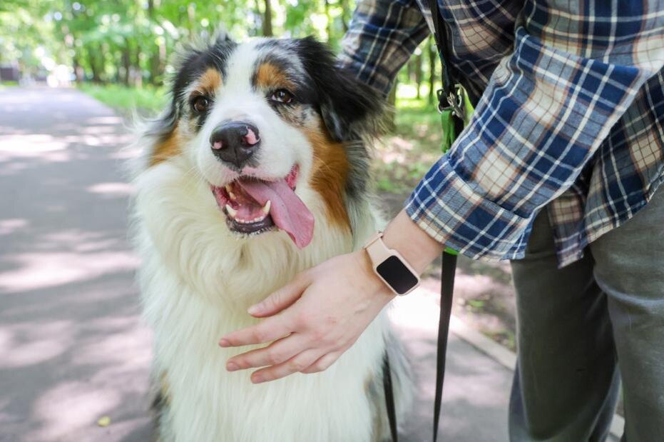    Наталья Шатохина/NEWS.ru