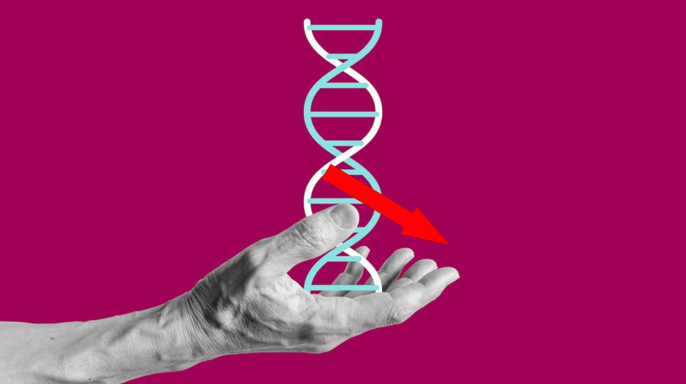    Новая карта ДНК человека раскрывает тайны «скачущих генов» и «мусорной ДНК»