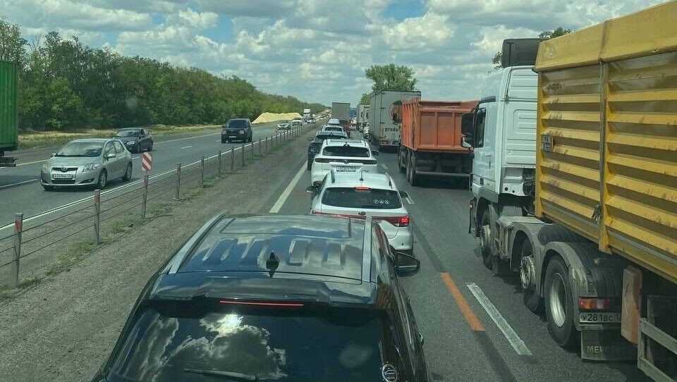     Автор: Дмитрий Стегленко Источник: rostovgazeta.ru