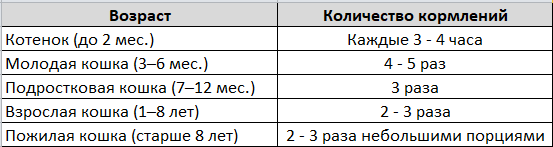 Сравнительная таблица частоты кормления кошек