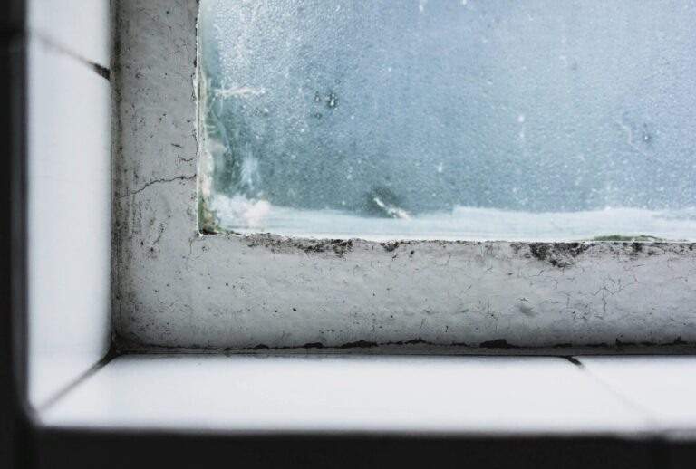    Фото: freepik.com/wirestock Екатерина Шахнина