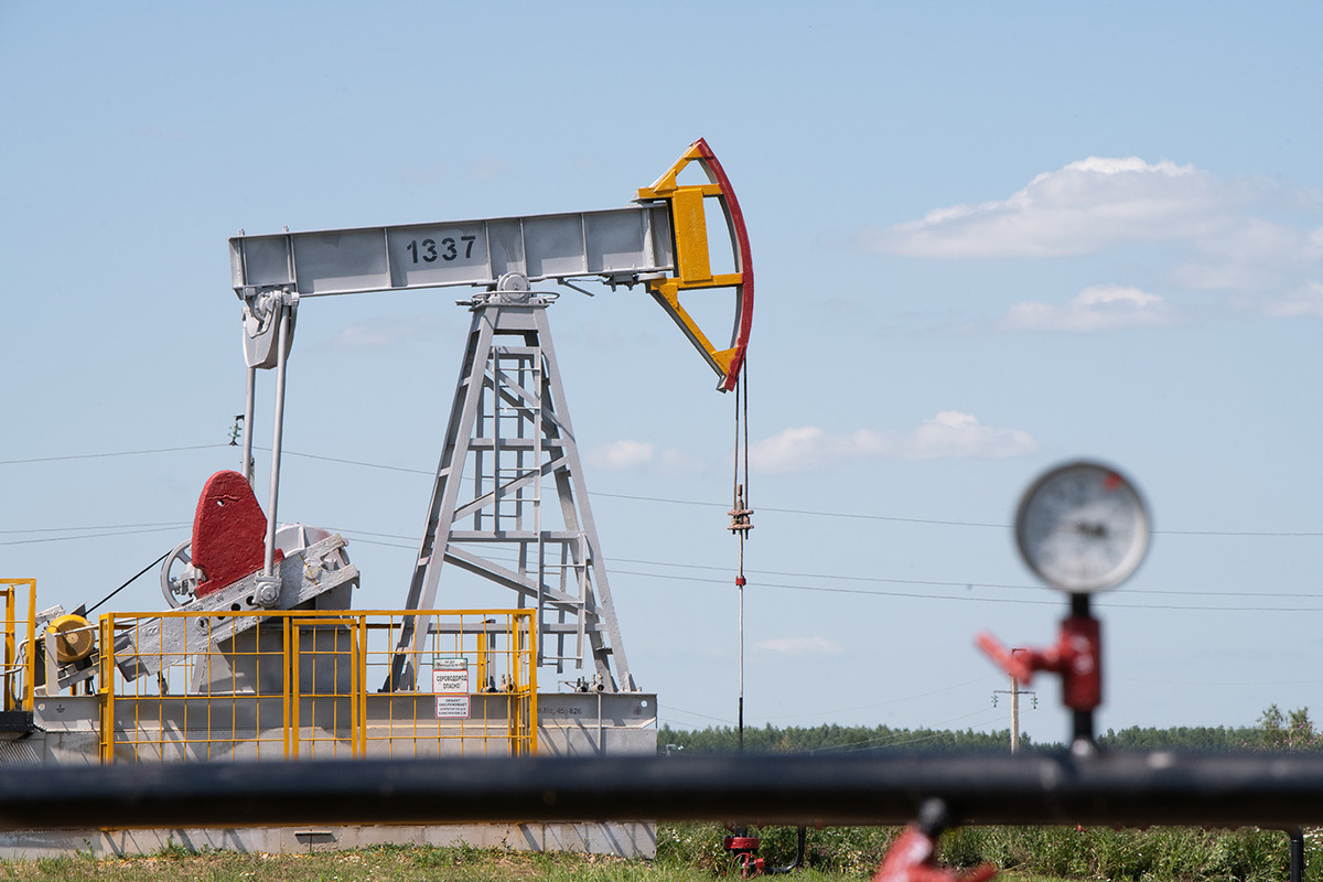    Александр Манзюк / ТАСС