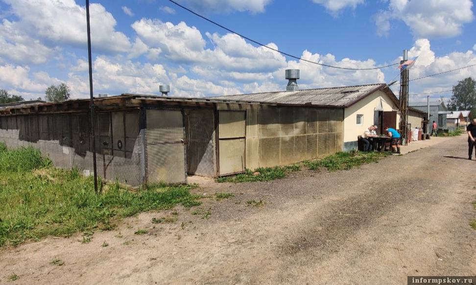 Фото: СУ СК России по Псковской области