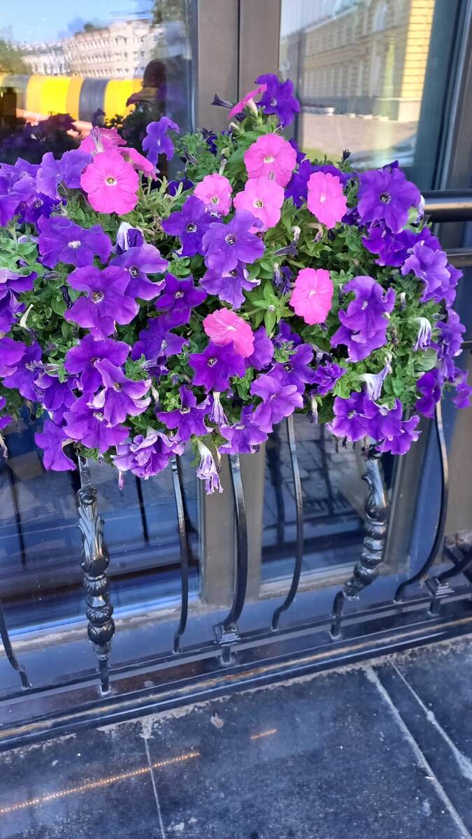 Листайте, чтобы увидеть больше цветов