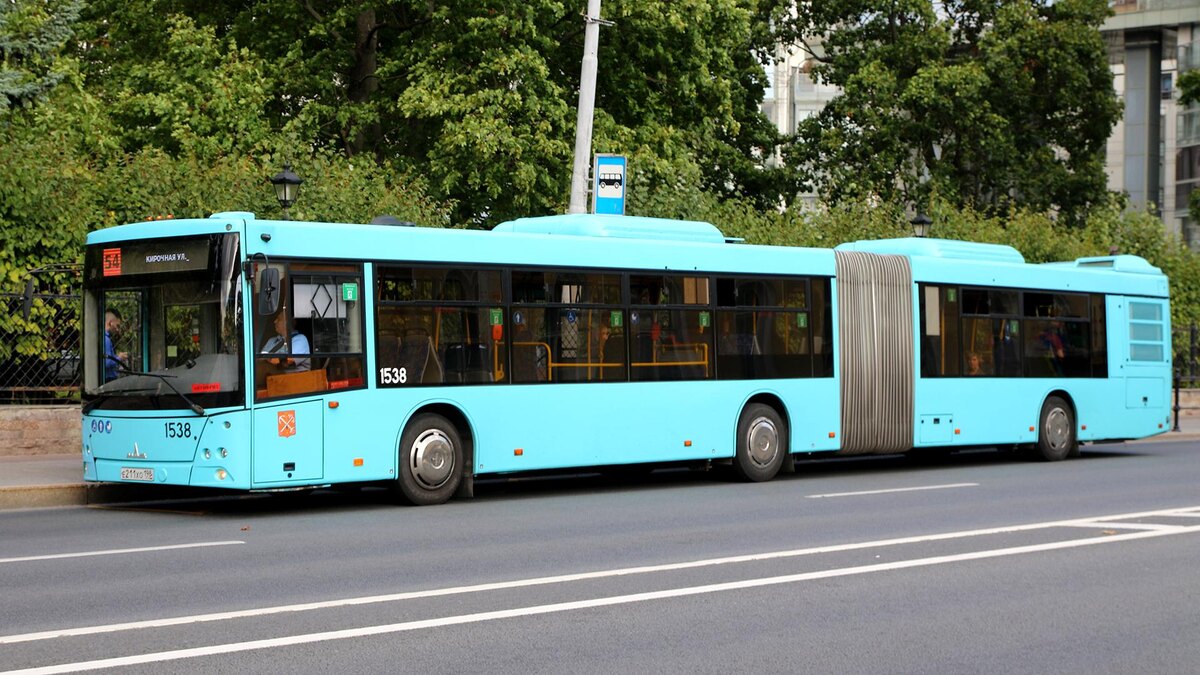    Фото: Maksim Konstantinov/globallookpress.com