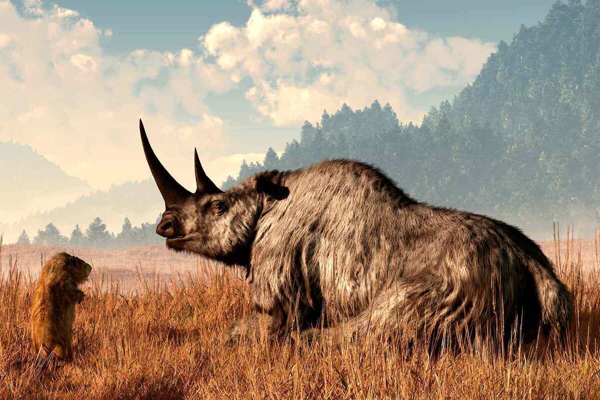 Фото: comicvine.gamespot.com